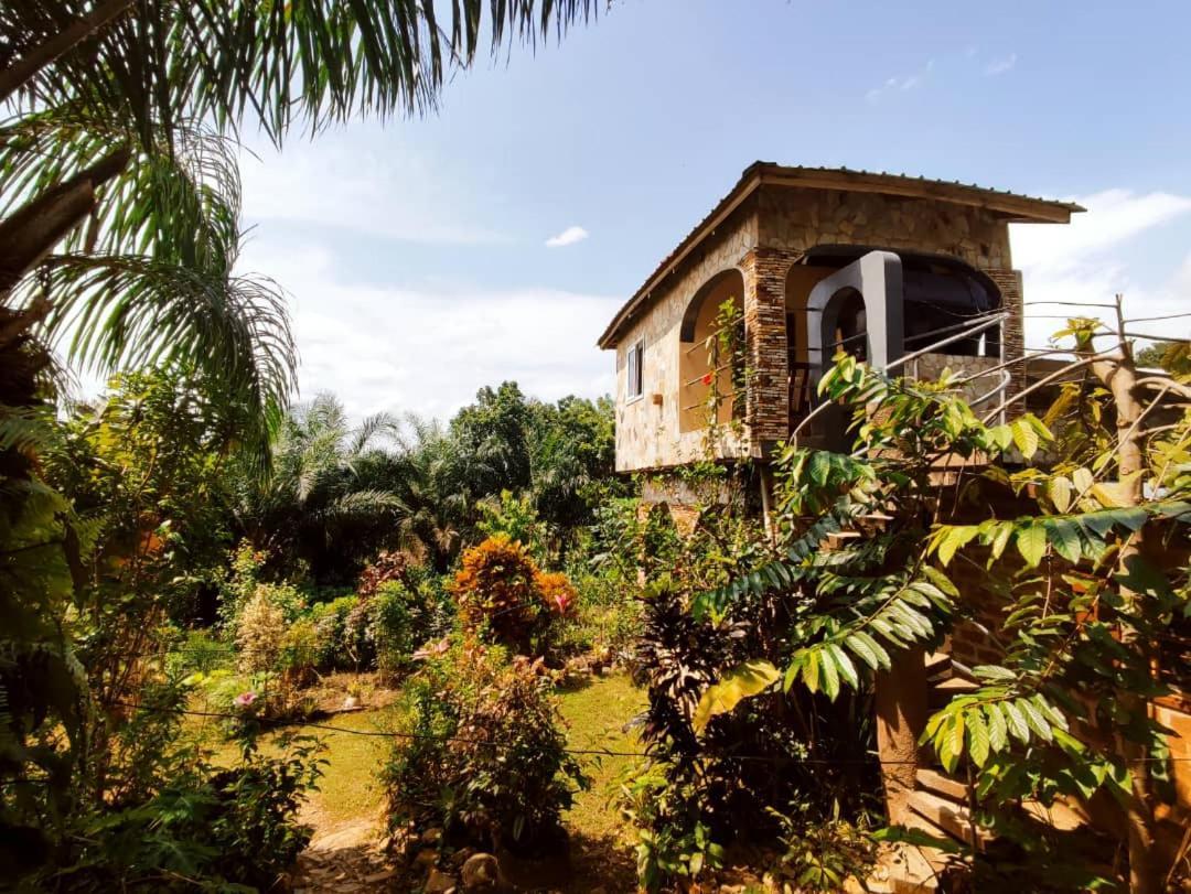 Maison Au Calme Dans La Nature Kpalimé Екстериор снимка