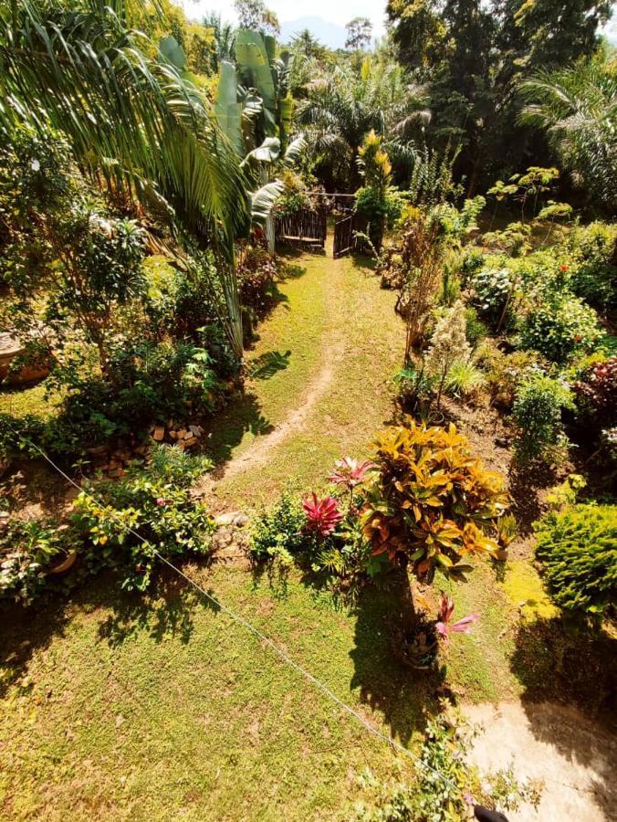 Maison Au Calme Dans La Nature Kpalimé Екстериор снимка