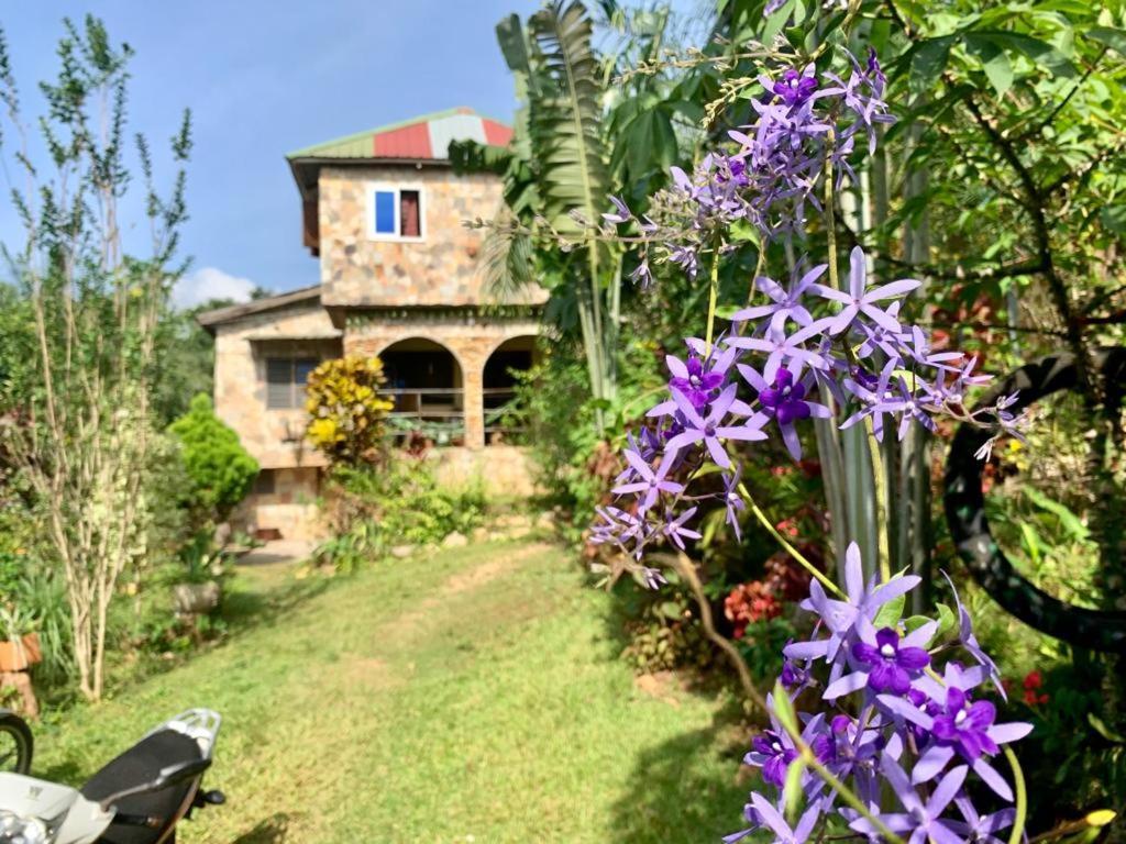 Maison Au Calme Dans La Nature Kpalimé Екстериор снимка